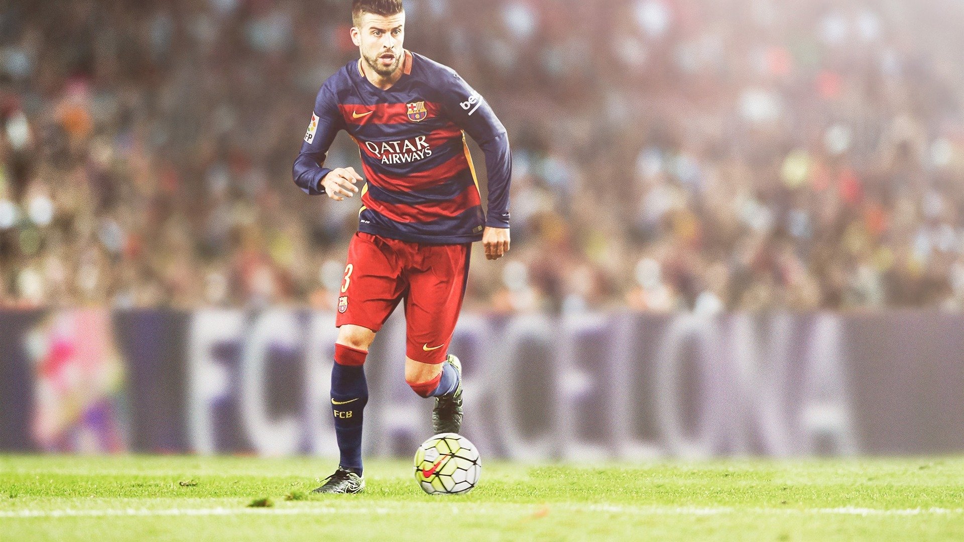 世界游泳系列赛城市站落幕 中国队揽获多金